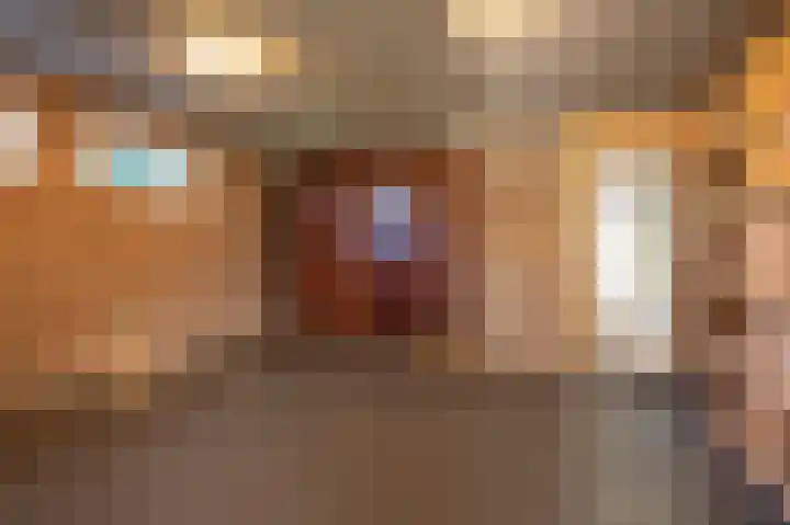 Zwarte Dijkje 15 Noordscheschut thumbnail 20