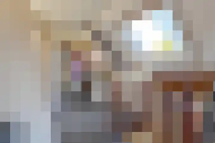 Zwarte Dijkje 15 Noordscheschut thumbnail 22
