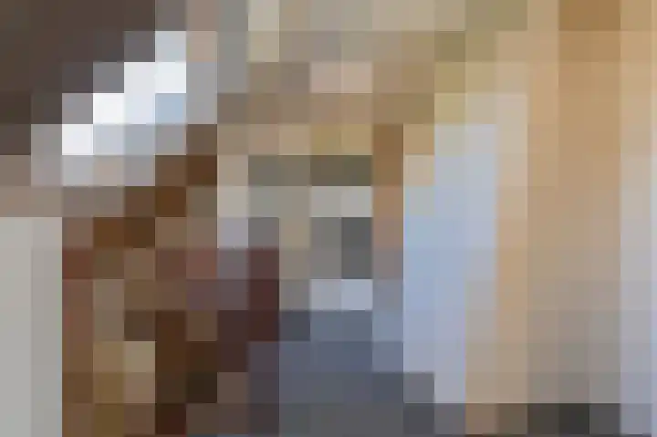 Zwarte Dijkje 15 Noordscheschut thumbnail 23