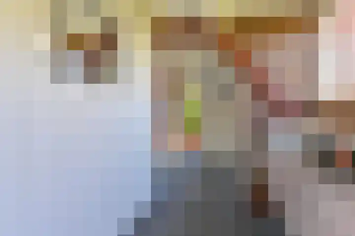 Zwarte Dijkje 15 Noordscheschut thumbnail 24