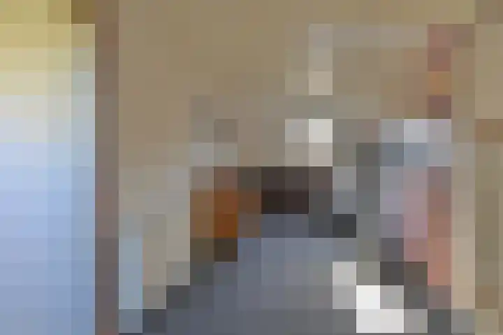 Zwarte Dijkje 15 Noordscheschut thumbnail 25