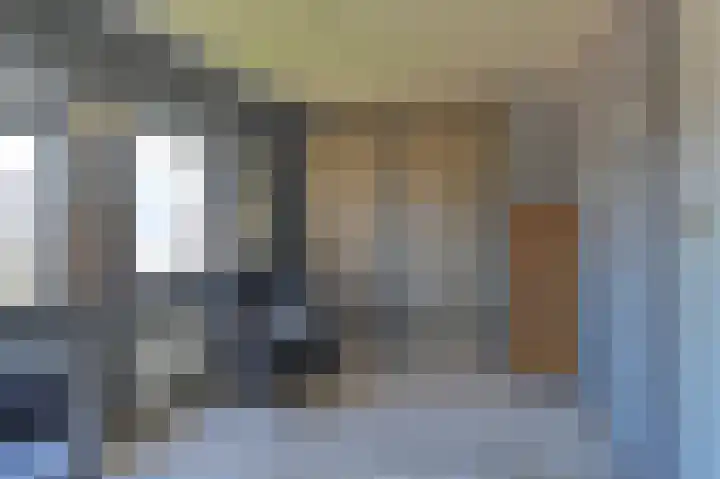 Zwarte Dijkje 15 Noordscheschut thumbnail 28