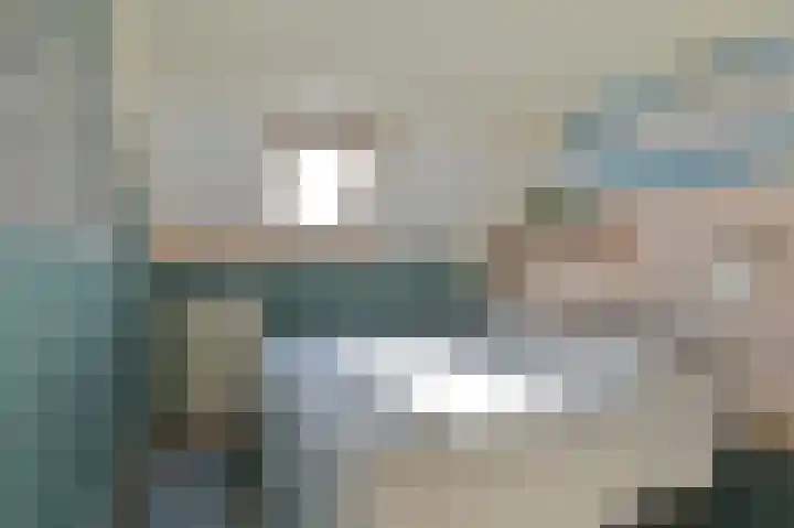 Zwarte Dijkje 15 Noordscheschut thumbnail 31