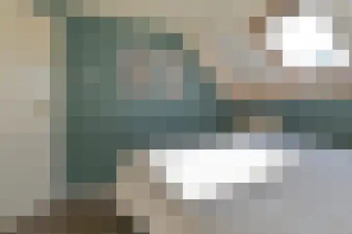 Zwarte Dijkje 15 Noordscheschut thumbnail 33
