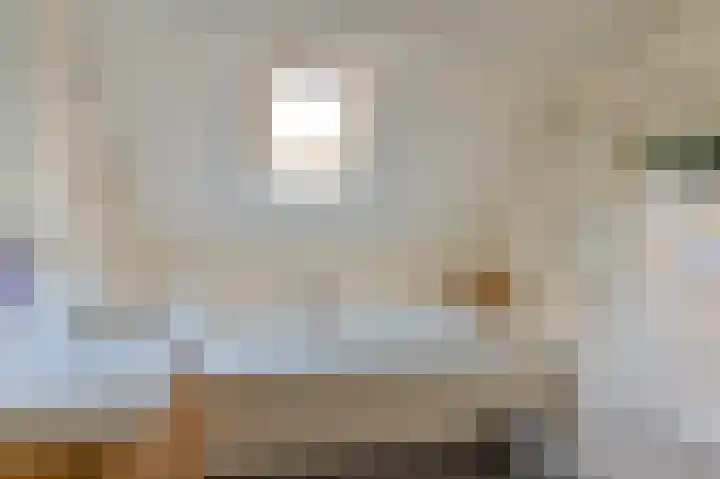 Zwarte Dijkje 15 Noordscheschut thumbnail 35