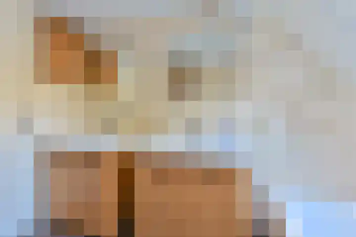 Zwarte Dijkje 15 Noordscheschut thumbnail 36