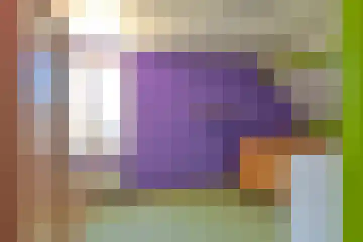 Zwarte Dijkje 15 Noordscheschut thumbnail 38