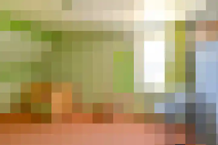 Zwarte Dijkje 15 Noordscheschut thumbnail 40
