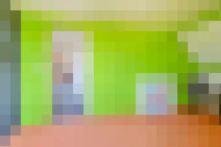 Zwarte Dijkje 15 Noordscheschut thumbnail 42