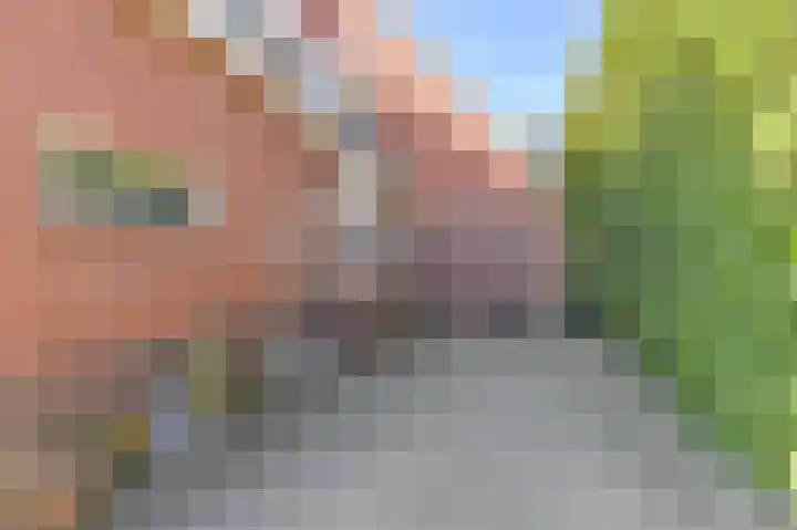 Zwarte Dijkje 15 Noordscheschut thumbnail 44