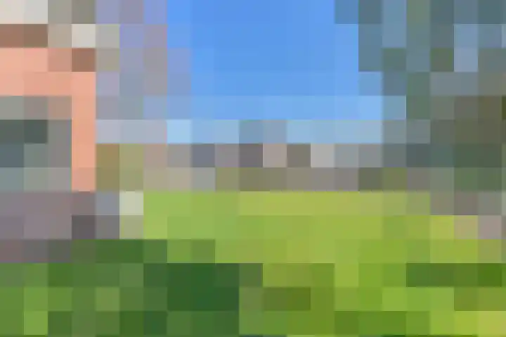 Zwarte Dijkje 15 Noordscheschut thumbnail 46