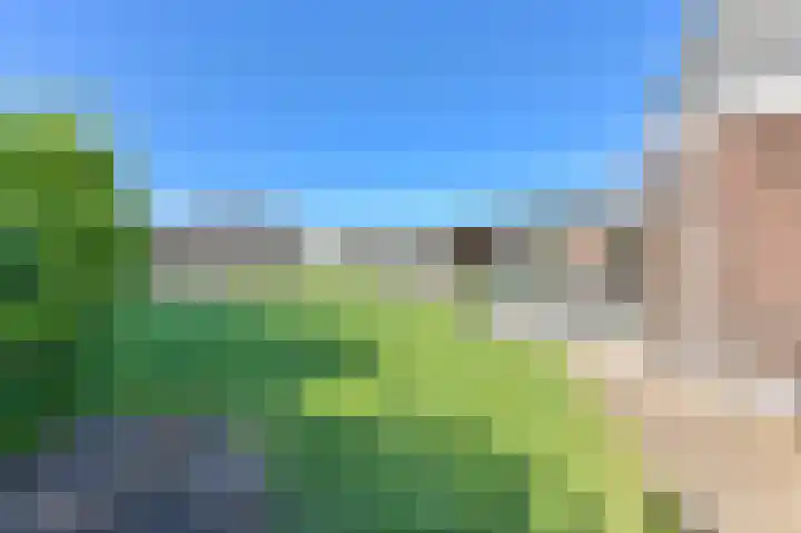 Zwarte Dijkje 15 Noordscheschut thumbnail 47