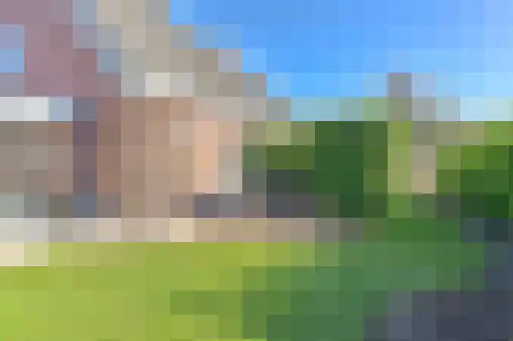 Zwarte Dijkje 15 Noordscheschut thumbnail 48