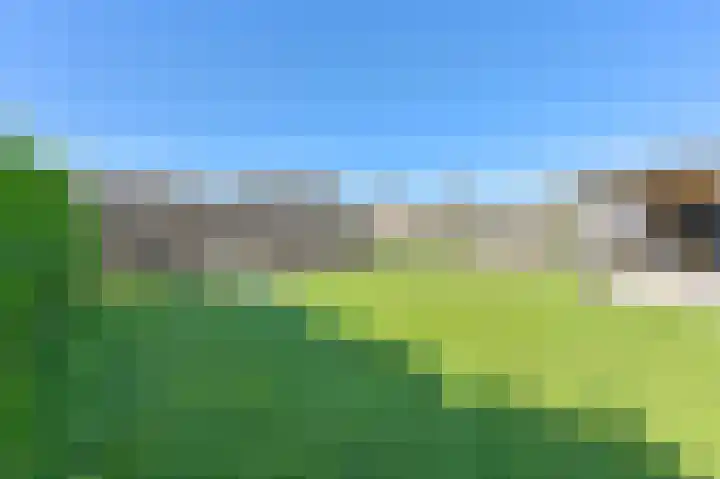Zwarte Dijkje 15 Noordscheschut thumbnail 50
