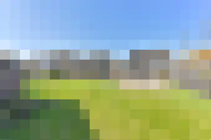 Zwarte Dijkje 15 Noordscheschut thumbnail 52