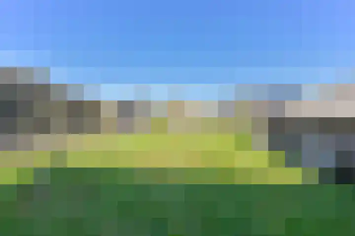 Zwarte Dijkje 15 Noordscheschut thumbnail 53