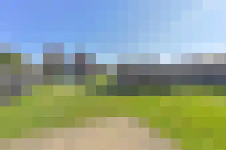 Zwarte Dijkje 15 Noordscheschut thumbnail 54