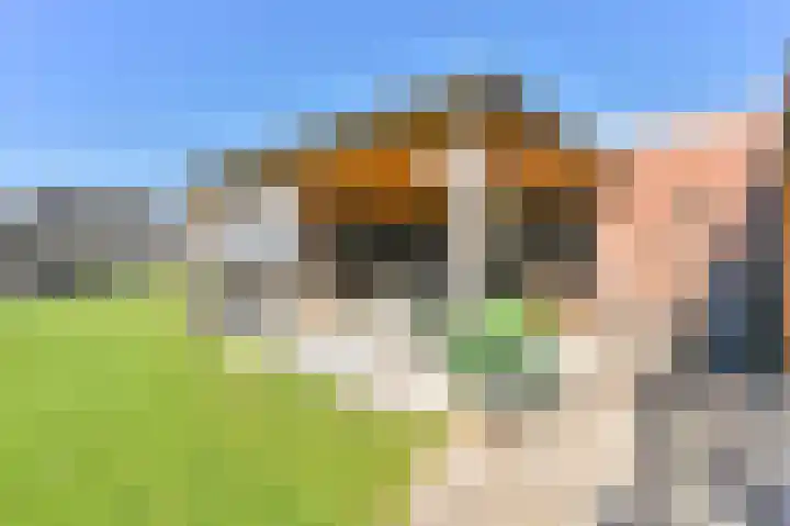 Zwarte Dijkje 15 Noordscheschut thumbnail 56
