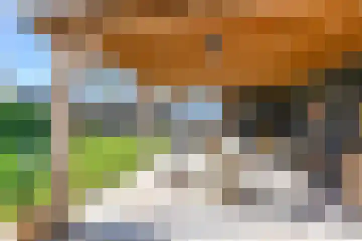 Zwarte Dijkje 15 Noordscheschut thumbnail 58