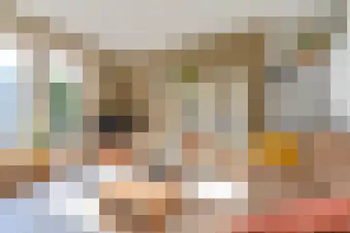 Zwarte Dijkje 15 Noordscheschut thumbnail 6