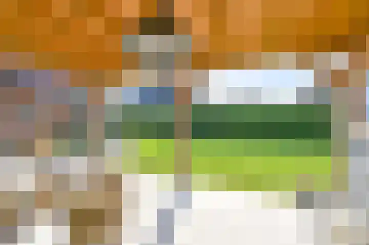 Zwarte Dijkje 15 Noordscheschut thumbnail 60