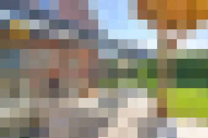 Zwarte Dijkje 15 Noordscheschut thumbnail 61
