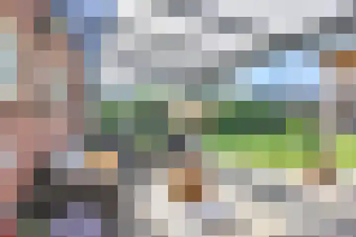 Zwarte Dijkje 15 Noordscheschut thumbnail 62