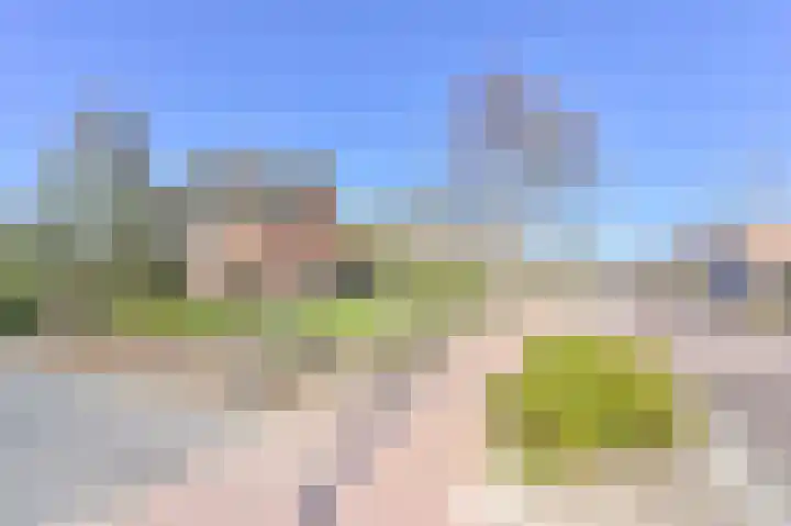 Zwarte Dijkje 15 Noordscheschut thumbnail 65