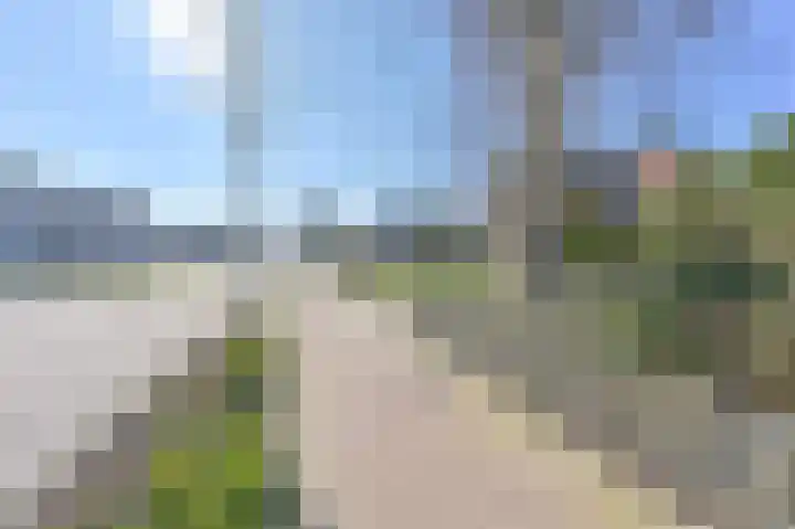 Zwarte Dijkje 15 Noordscheschut thumbnail 66