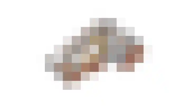 Zwarte Dijkje 15 Noordscheschut thumbnail 70