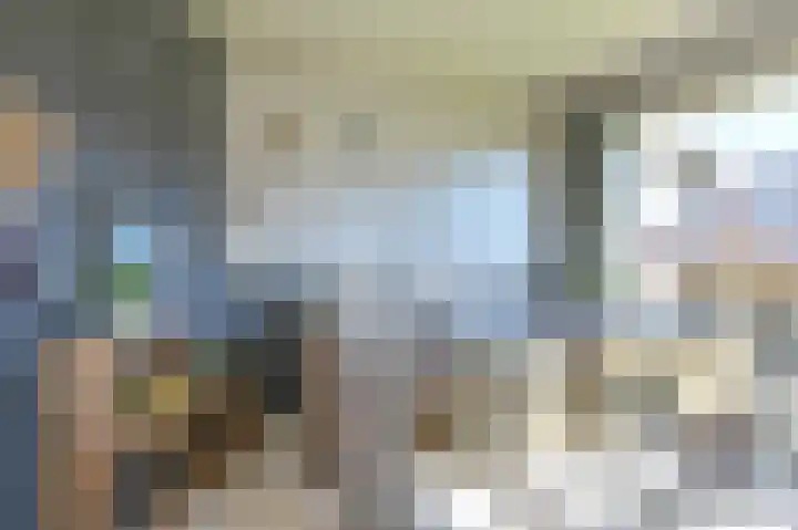 Zwarte Dijkje 15 Noordscheschut thumbnail 8