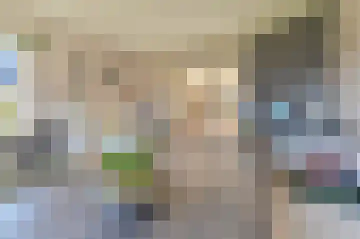 Zwarte Dijkje 15 Noordscheschut thumbnail 9