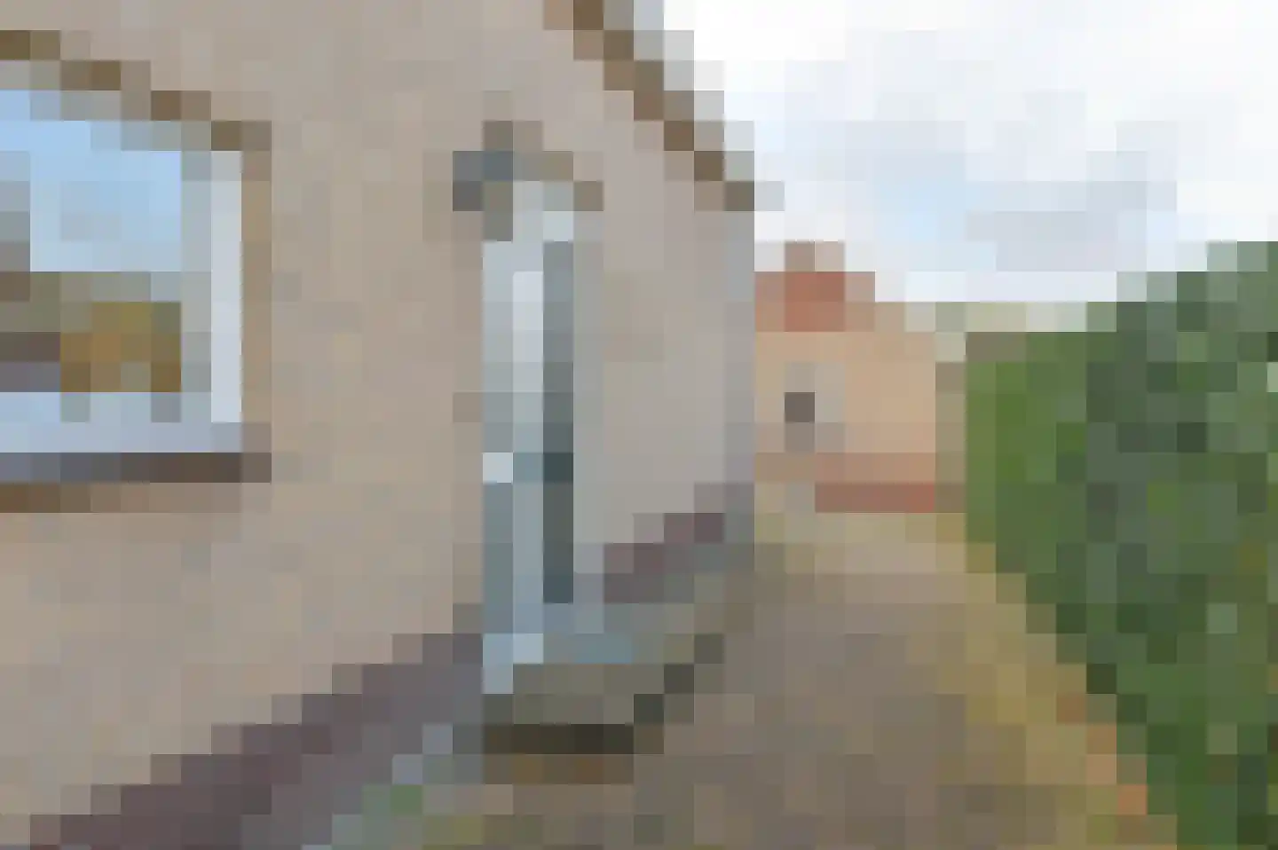 Zwarte Dijkje 39 a Noordscheschut thumbnail 4