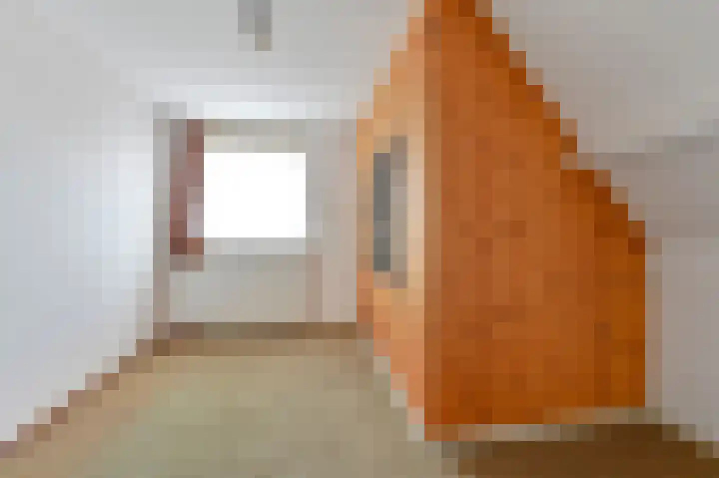 Zwarte Dijkje 39 a Noordscheschut thumbnail 40
