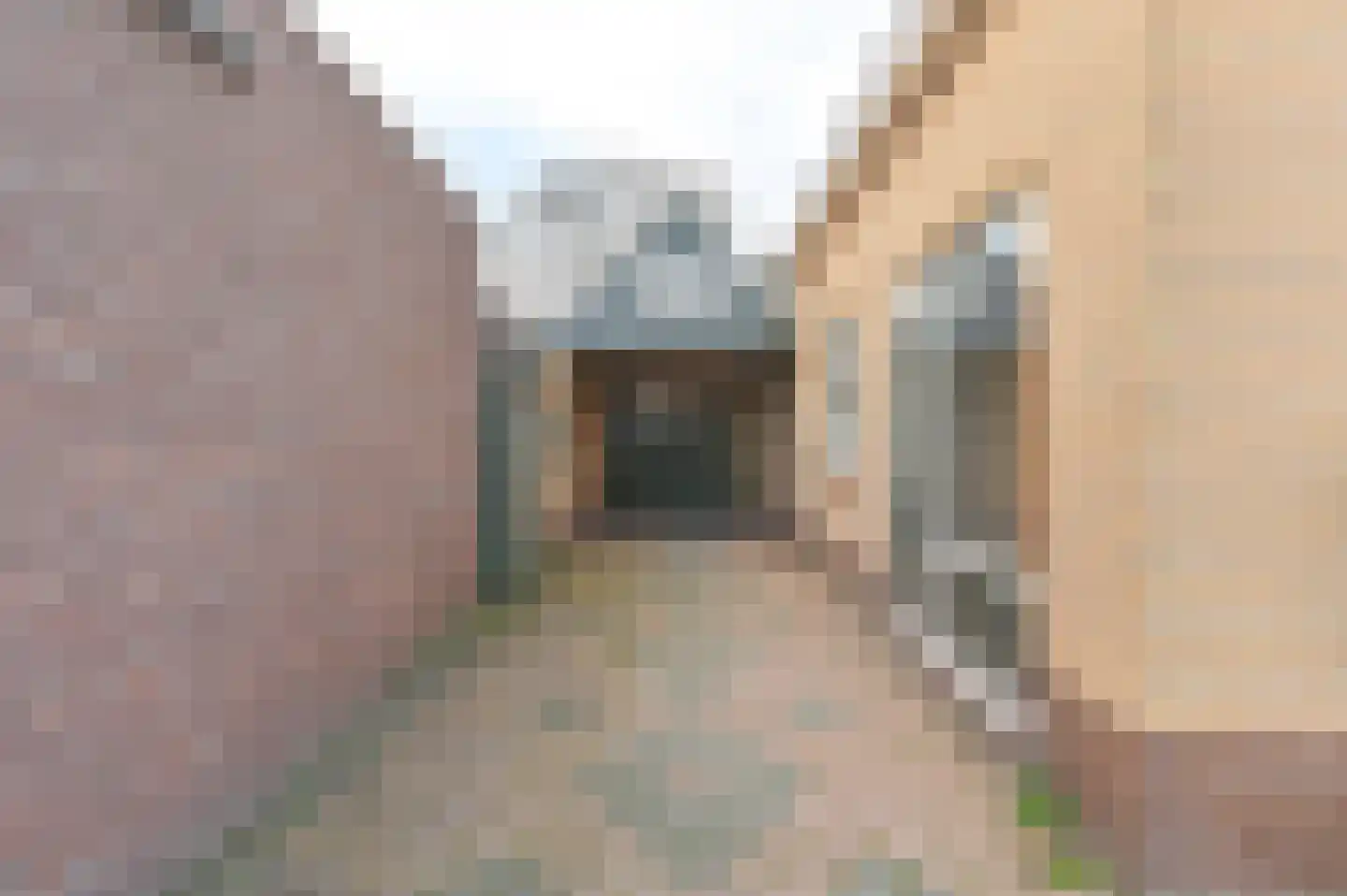 Zwarte Dijkje 39 a Noordscheschut thumbnail 47