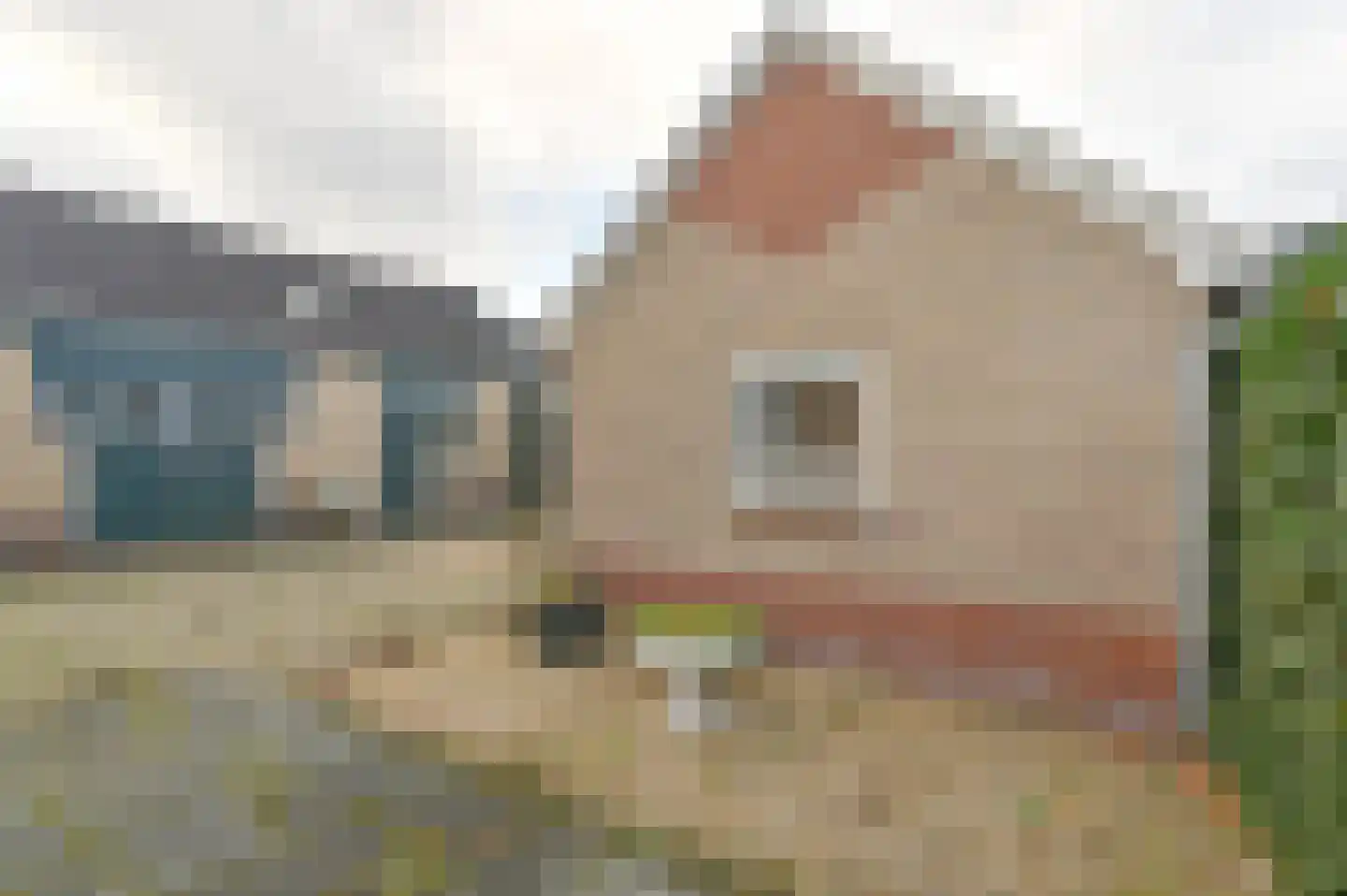 Zwarte Dijkje 39 a Noordscheschut thumbnail 51