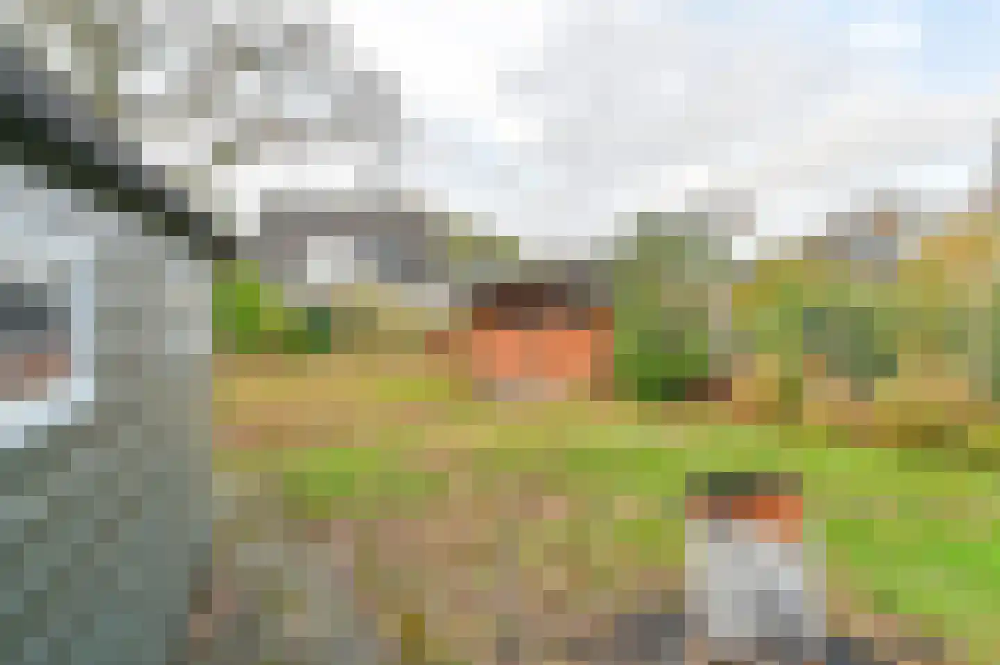 Zwarte Dijkje 39 a Noordscheschut thumbnail 55