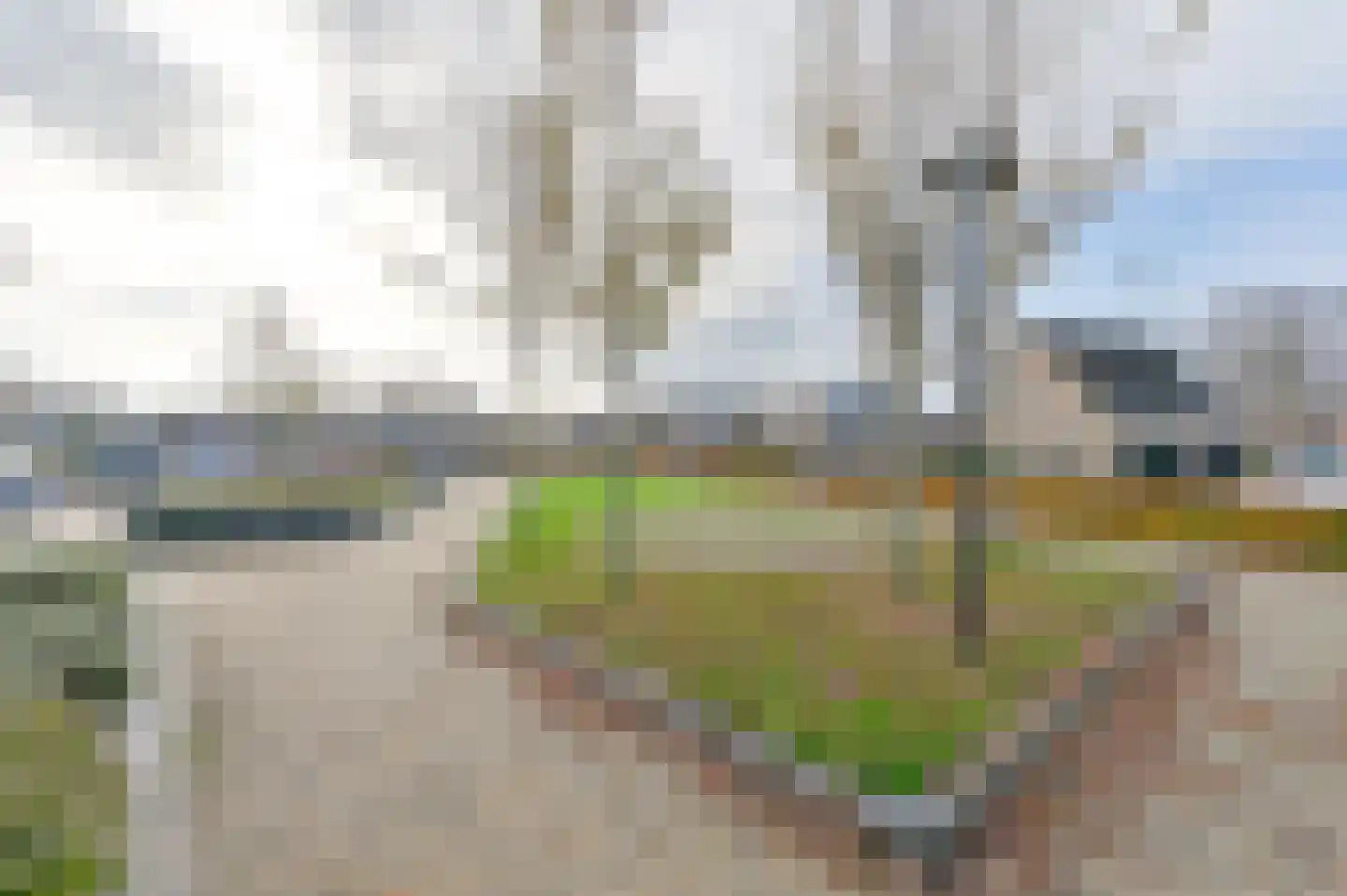 Zwarte Dijkje 39 a Noordscheschut thumbnail 63