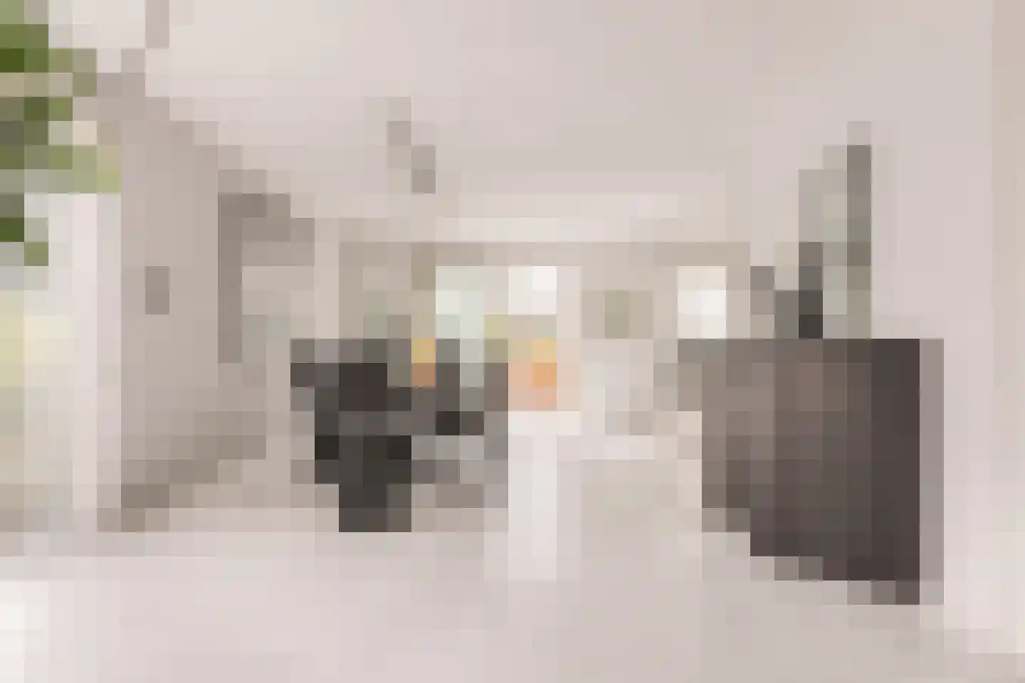 Zwarte Dolfijn 26 Heerhugowaard thumbnail 4
