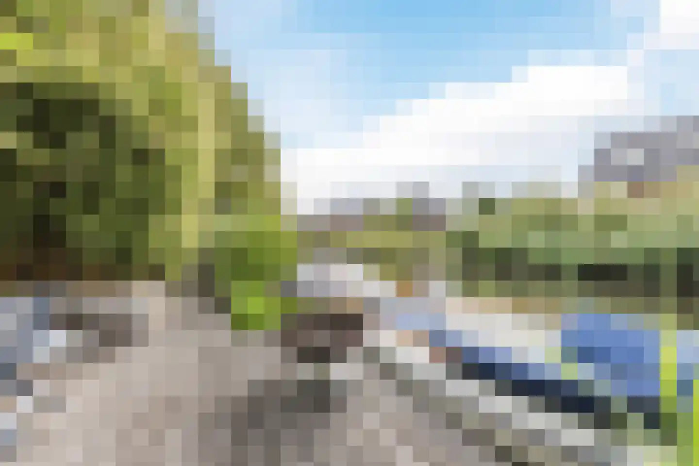 Zwarte Dolfijn 26 Heerhugowaard thumbnail 51