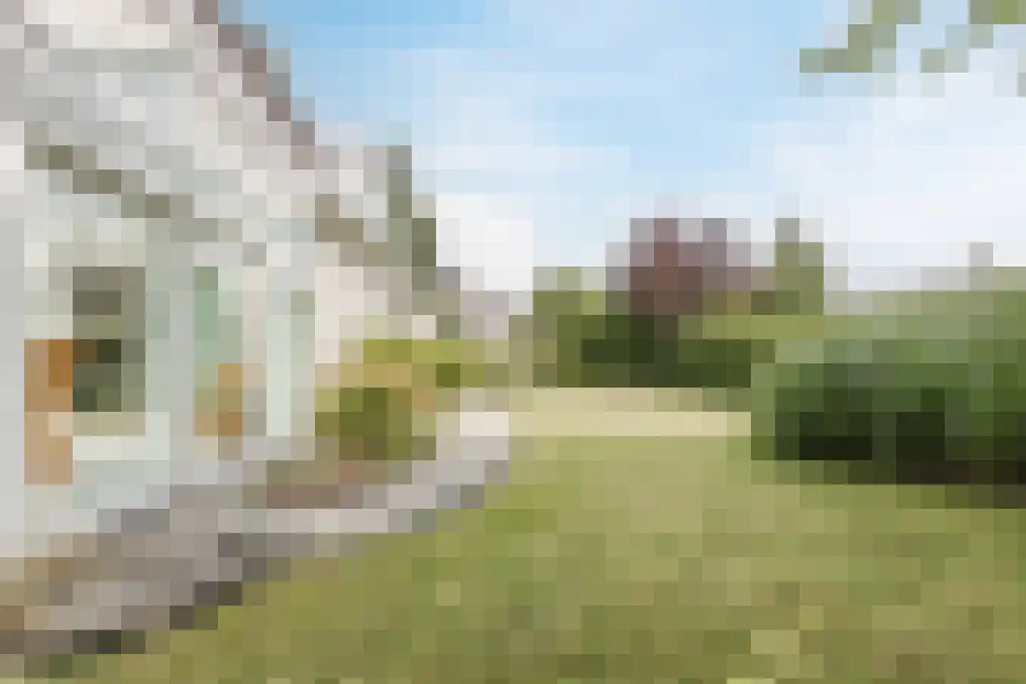 Zwarte Dolfijn 26 Heerhugowaard thumbnail 54