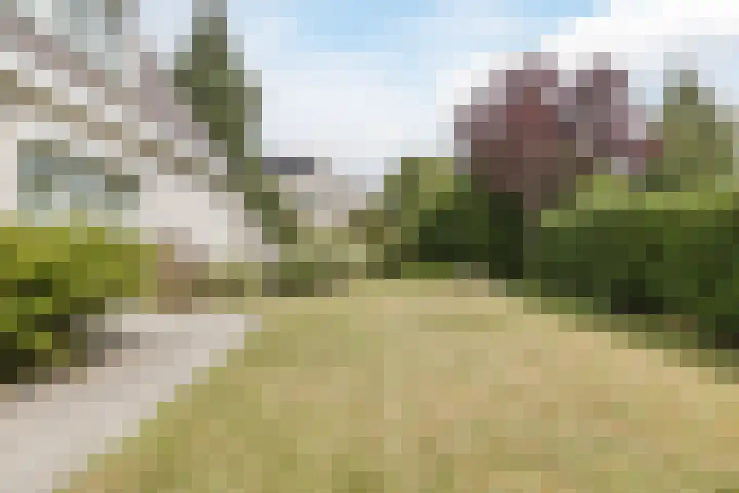 Zwarte Dolfijn 26 Heerhugowaard thumbnail 55