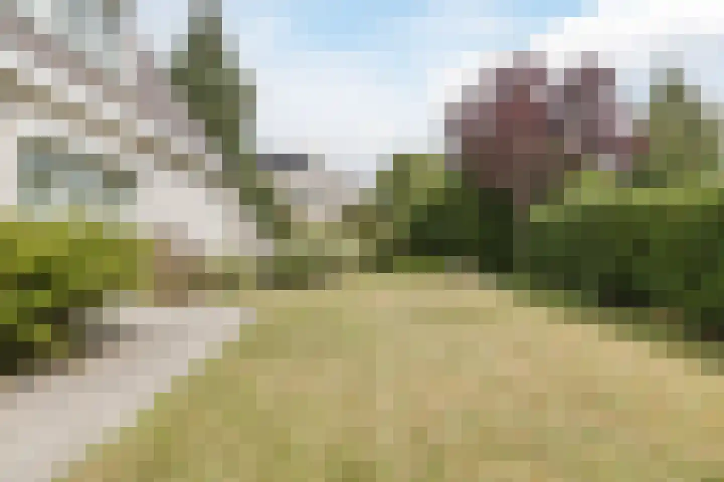 Zwarte Dolfijn 26 Heerhugowaard thumbnail 56