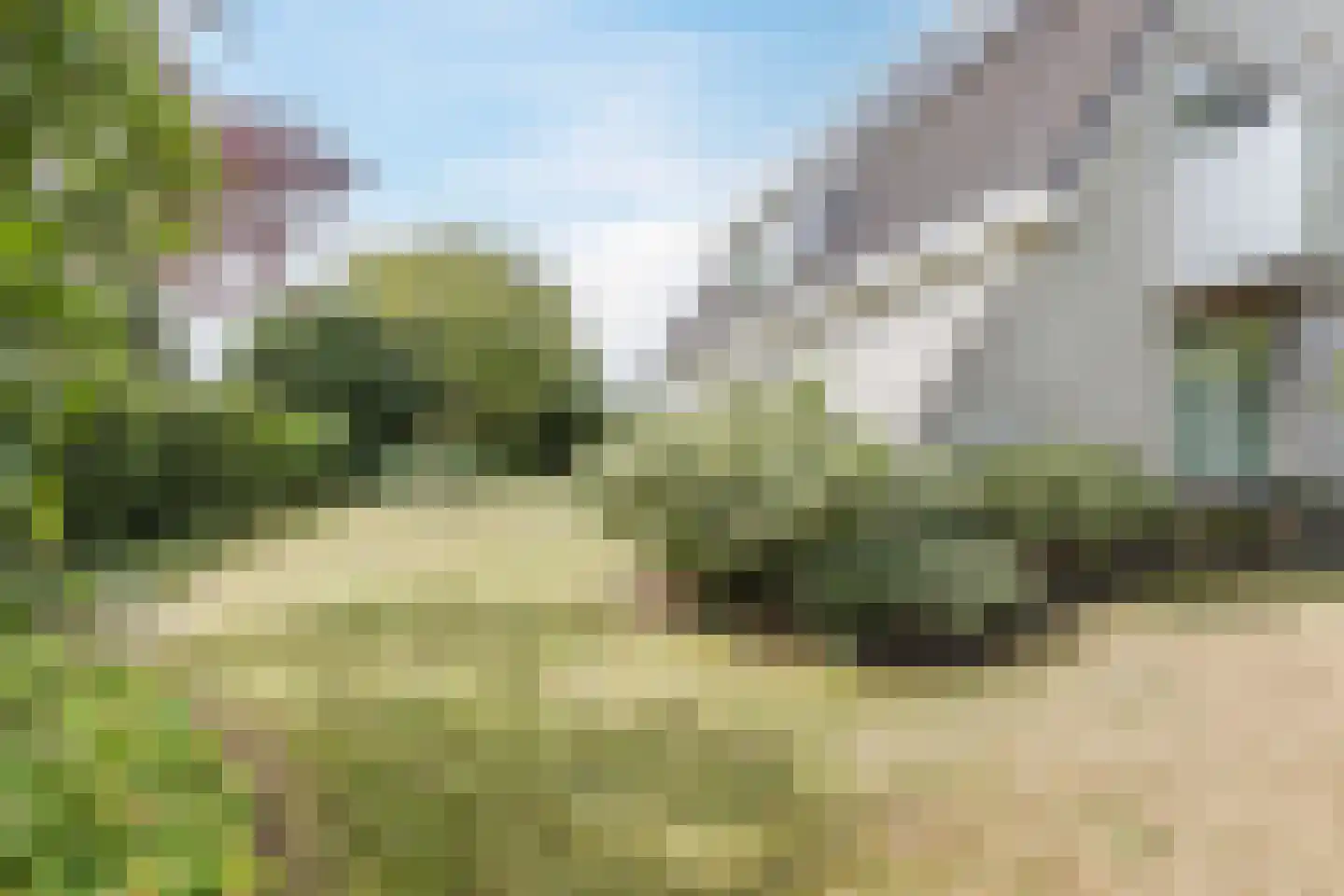 Zwarte Dolfijn 26 Heerhugowaard thumbnail 57