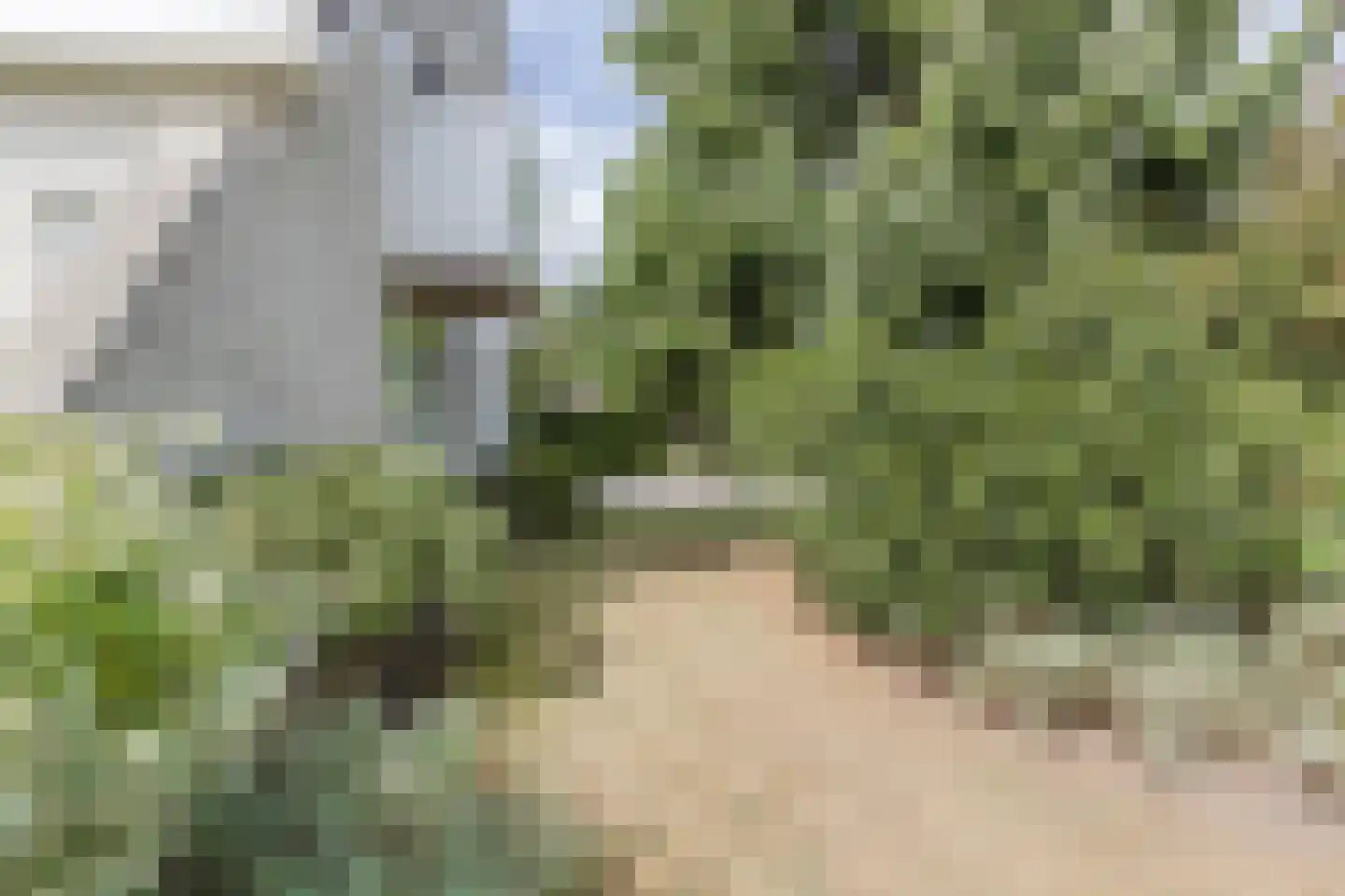 Zwarte Dolfijn 26 Heerhugowaard thumbnail 58