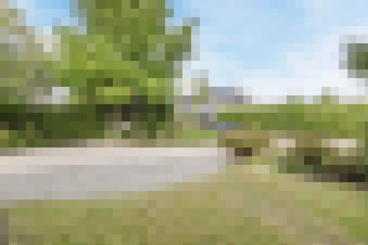 Zwarte Dolfijn 26 Heerhugowaard thumbnail 60