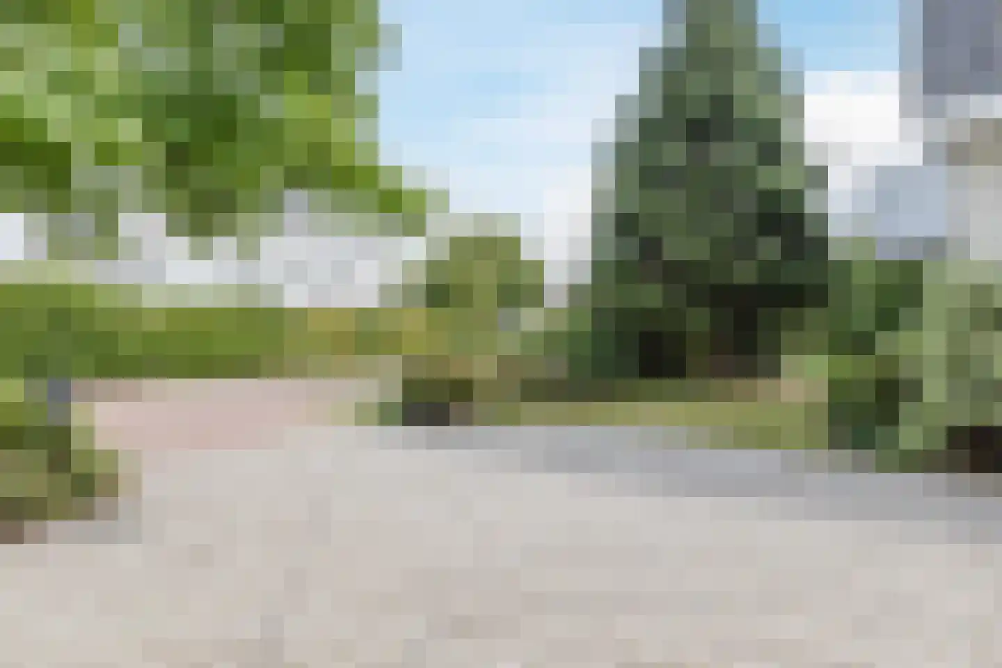 Zwarte Dolfijn 26 Heerhugowaard thumbnail 63