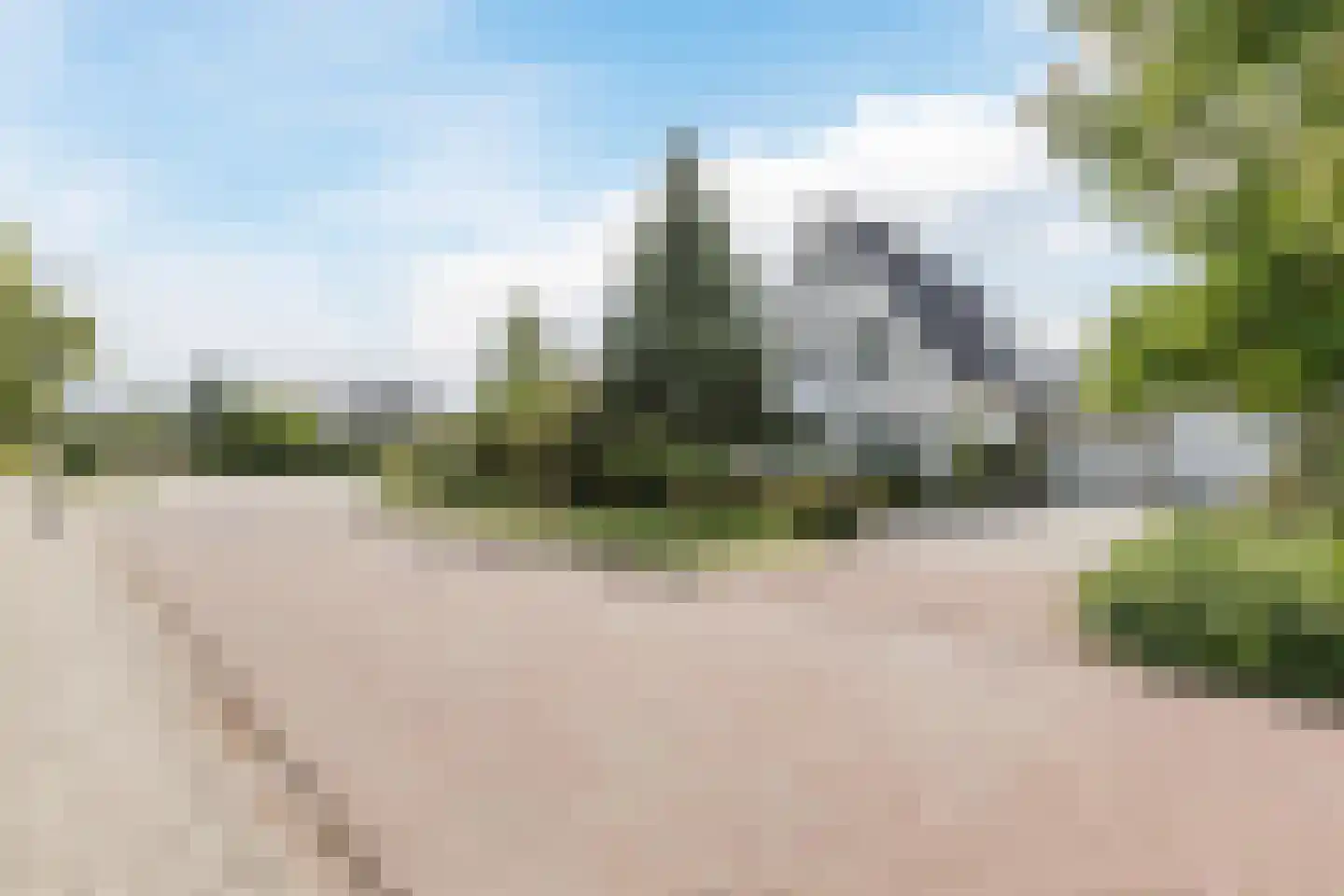 Zwarte Dolfijn 26 Heerhugowaard thumbnail 63