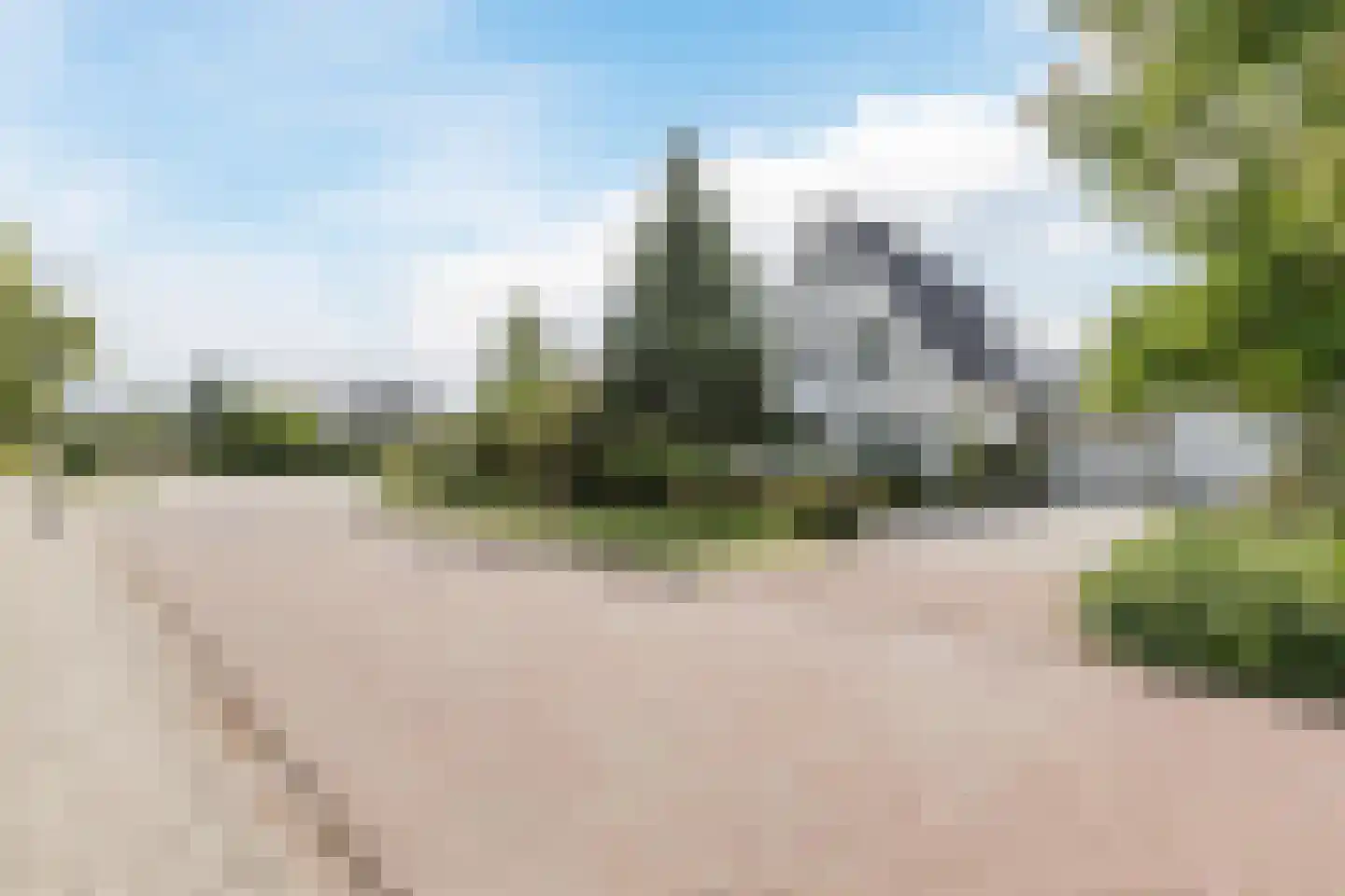 Zwarte Dolfijn 26 Heerhugowaard thumbnail 64
