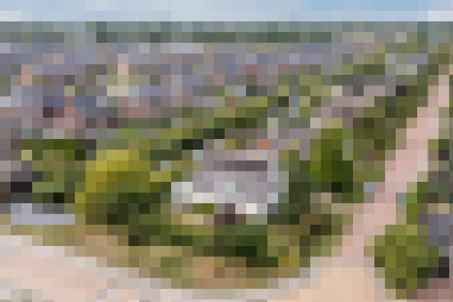 Zwarte Dolfijn 26 Heerhugowaard thumbnail 65